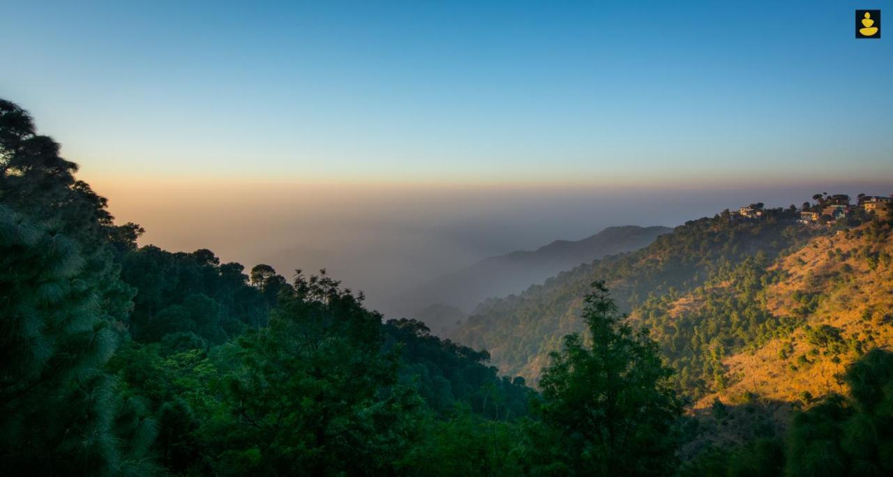 Livingstone 2Bhk Cozy Homestay In Kasauli Hills Екстер'єр фото